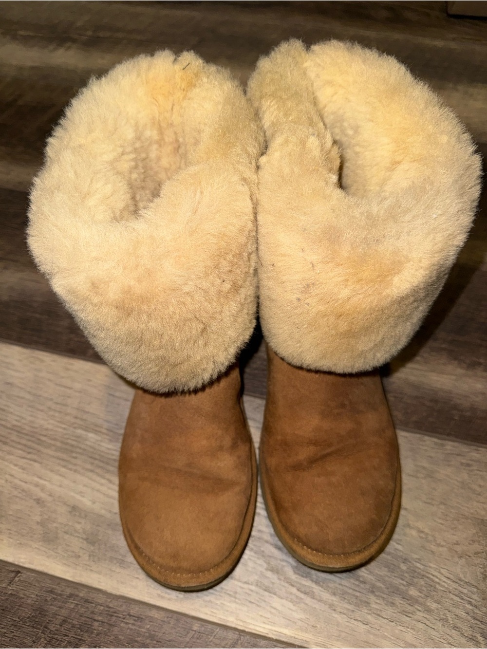 UGG Classic Long Boots in Chestnut